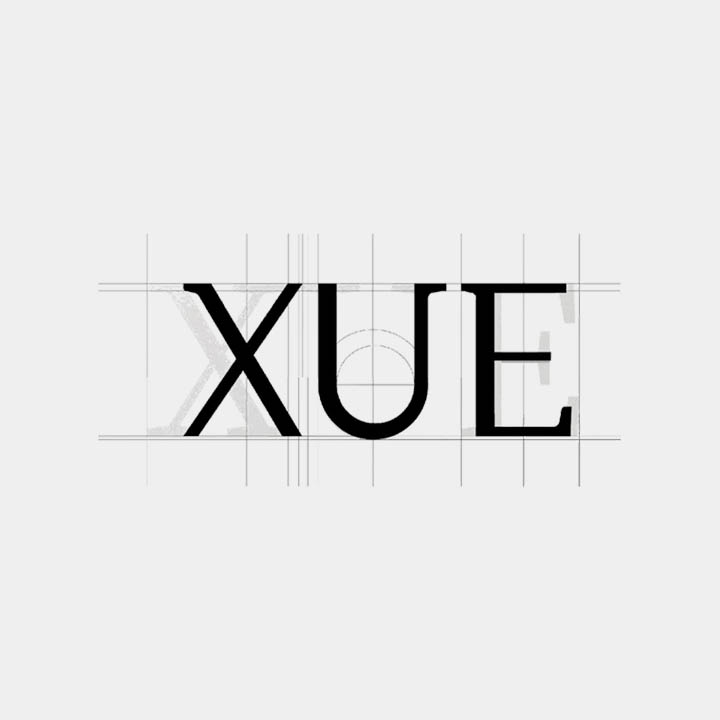 XUE VI SYSTEM & APPLICATION